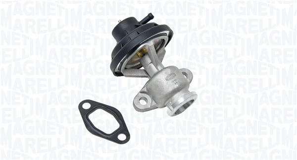 EGR Valve